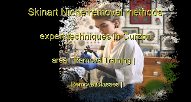 Skinart Niche removal methods expert techniques in Curzon area | RemovalTraining | RemovalClasses | SkinartTraining-France